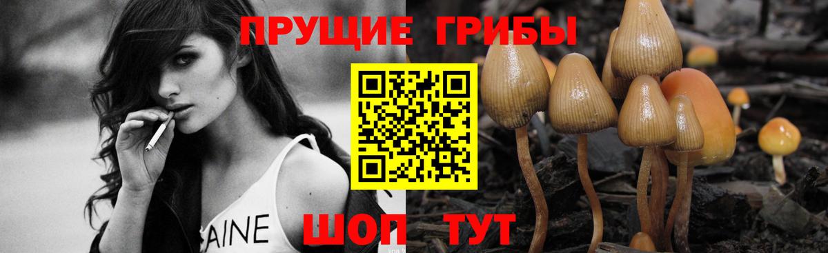 Галлюциногенные грибы мухоморы  Галлюциногенные грибы GOLDEN TEACHER  Вход с VPN  Биробиджан 